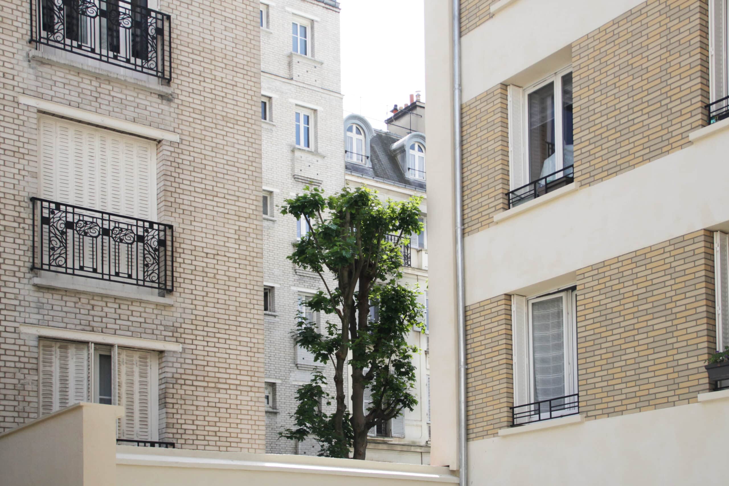 studaré-PARIS14-façades arrière